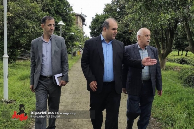 درخواست فرماندار لنگرود برای اخذ ضمانت از کارخانه داران بدحساب چایسازی