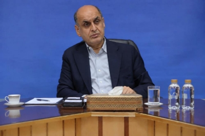 صدور مجوز به موقع برای صادرات کیوی؛ گامی برای تثبیت قیمت و حمایت از باغداران