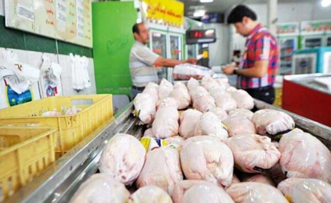 ۱۸۰ پرونده تخلف عرضه مرغ در گیلان تشکیل شد